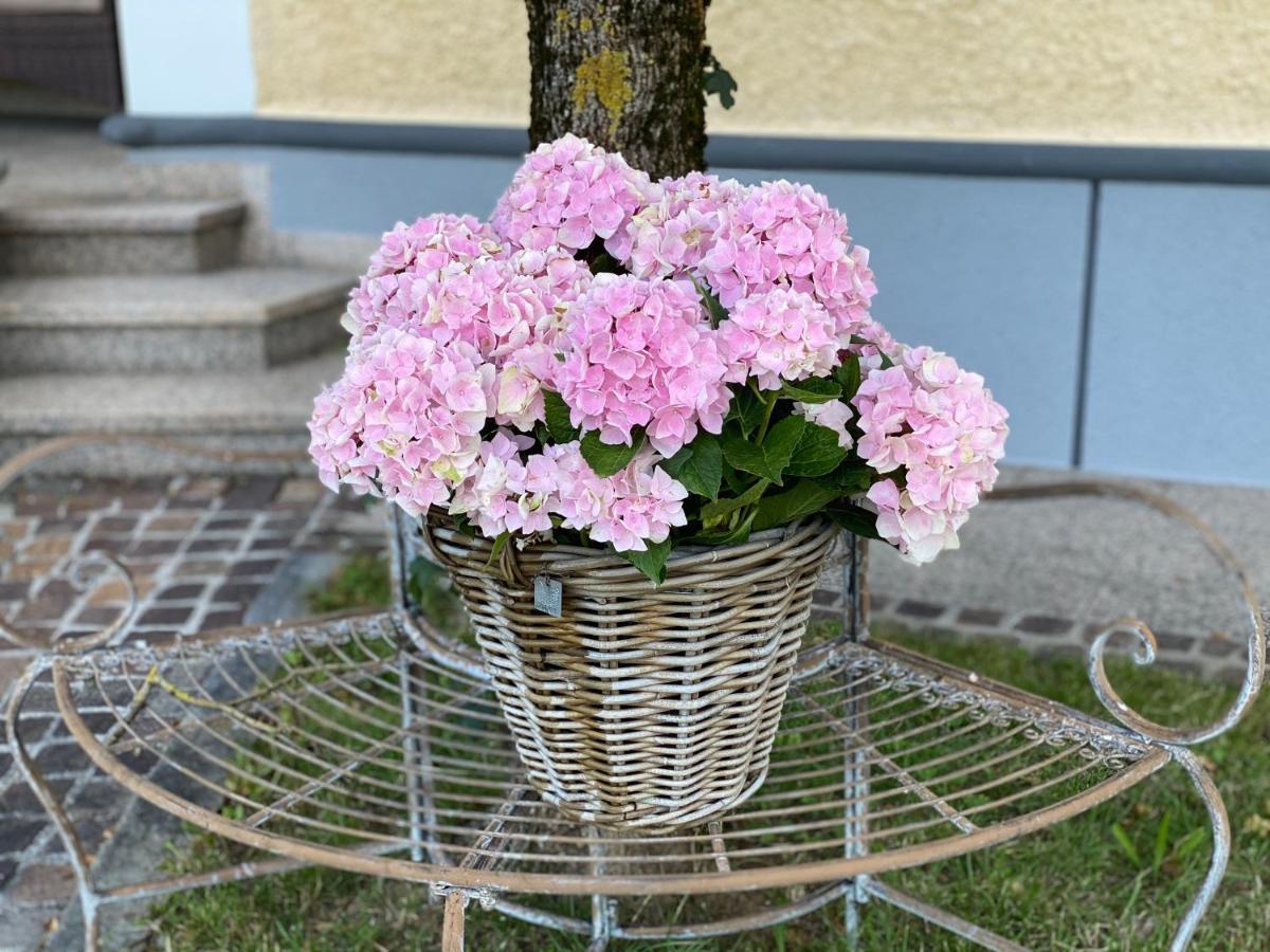 Almtalhotel Appartements In Pettenbach Eksteriør bilde